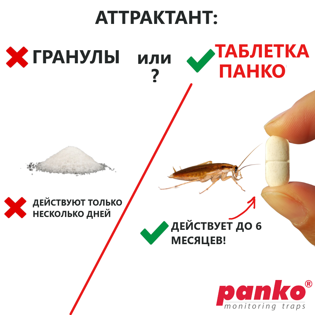 Panko (Панко) клеевая ловушка для тараканов | Европейские препараты и  технологии